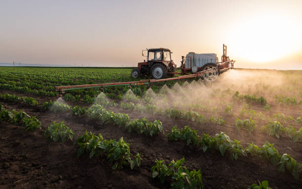  Port Isabel, TX Pest Control Pros