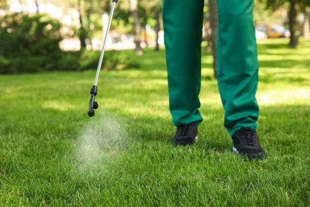 Professional Pest Control in Port Isabel, TX